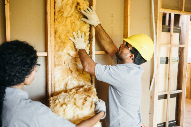 Best Radiant Barrier Insulation  in Lawrence, KS